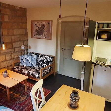 Villa Haniel Apartment Leo ドレスデン エクステリア 写真