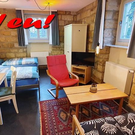 Villa Haniel Apartment Leo ドレスデン エクステリア 写真