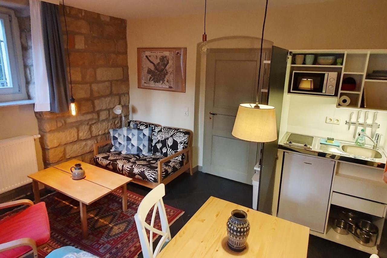 Villa Haniel Apartment Leo ドレスデン エクステリア 写真