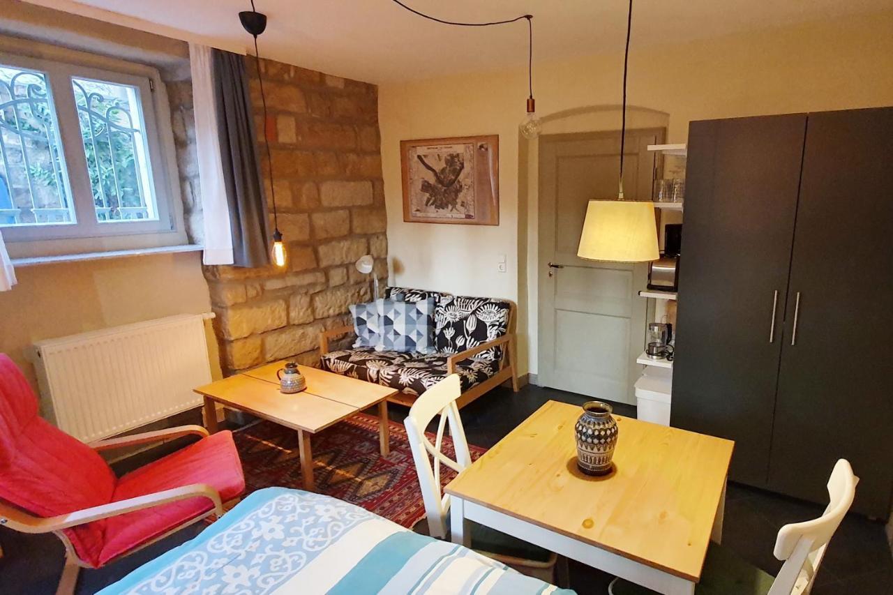 Villa Haniel Apartment Leo ドレスデン エクステリア 写真
