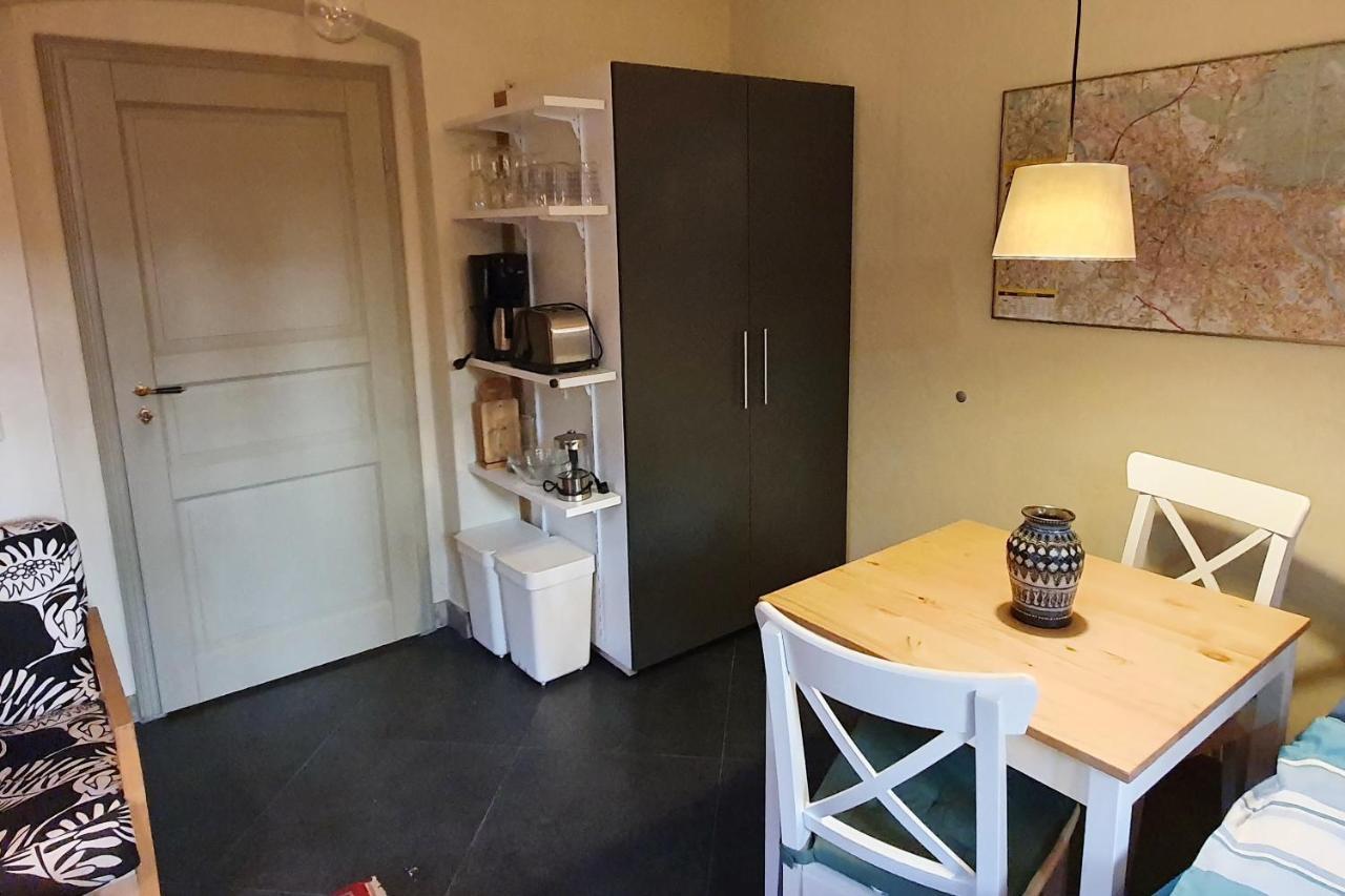 Villa Haniel Apartment Leo ドレスデン エクステリア 写真