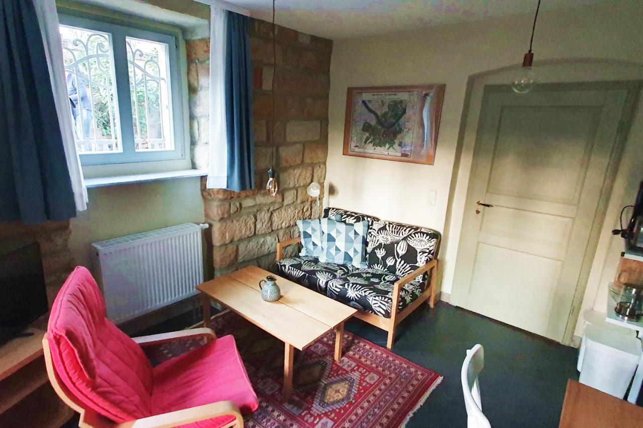 Villa Haniel Apartment Leo ドレスデン エクステリア 写真