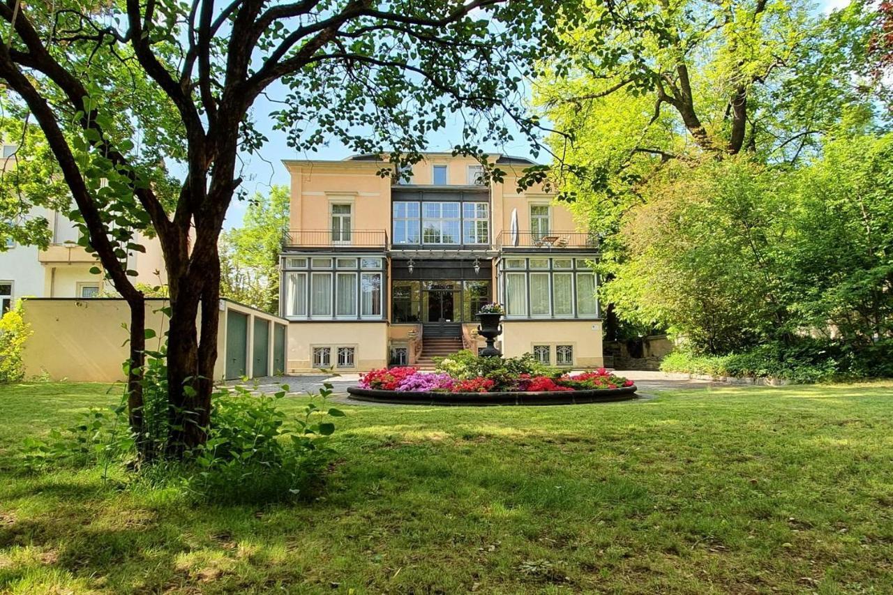 Villa Haniel Apartment Leo ドレスデン エクステリア 写真